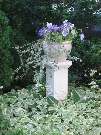 Garden Urn Photo