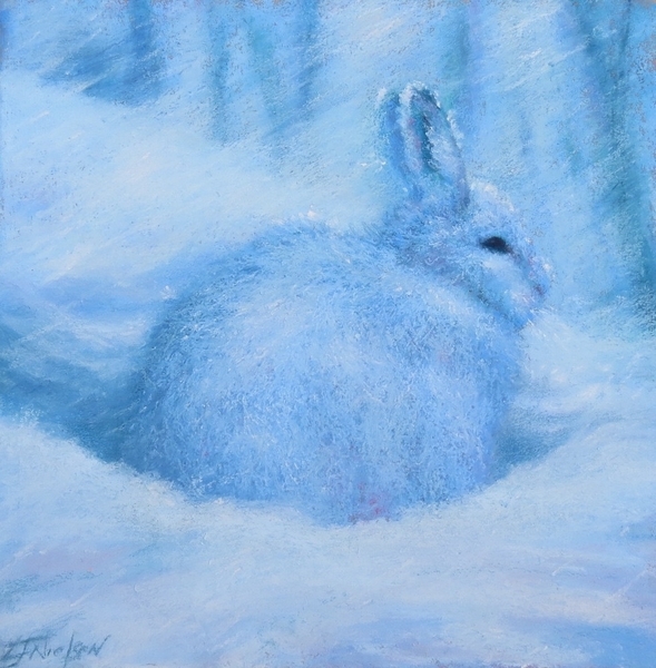 Snowshoe Hare