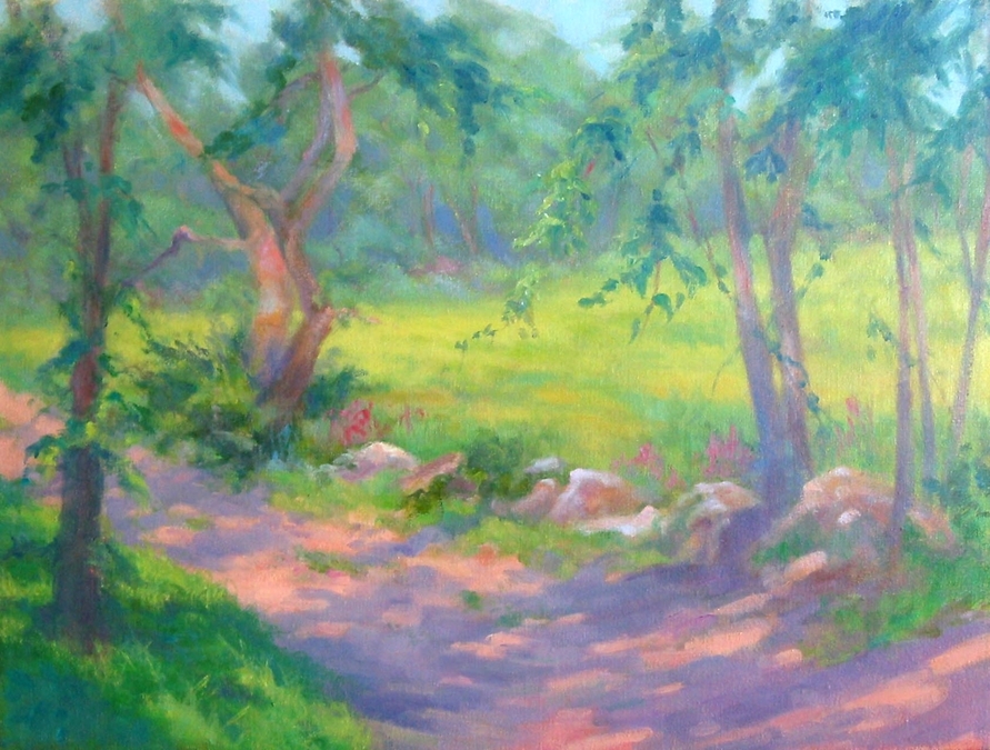 Sun Dappled Road